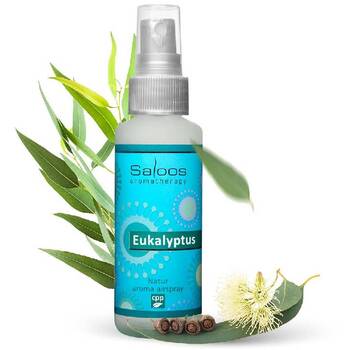 Natur aroma airspray - Eukalyptus (přírodní osvěžovač vzduchu)